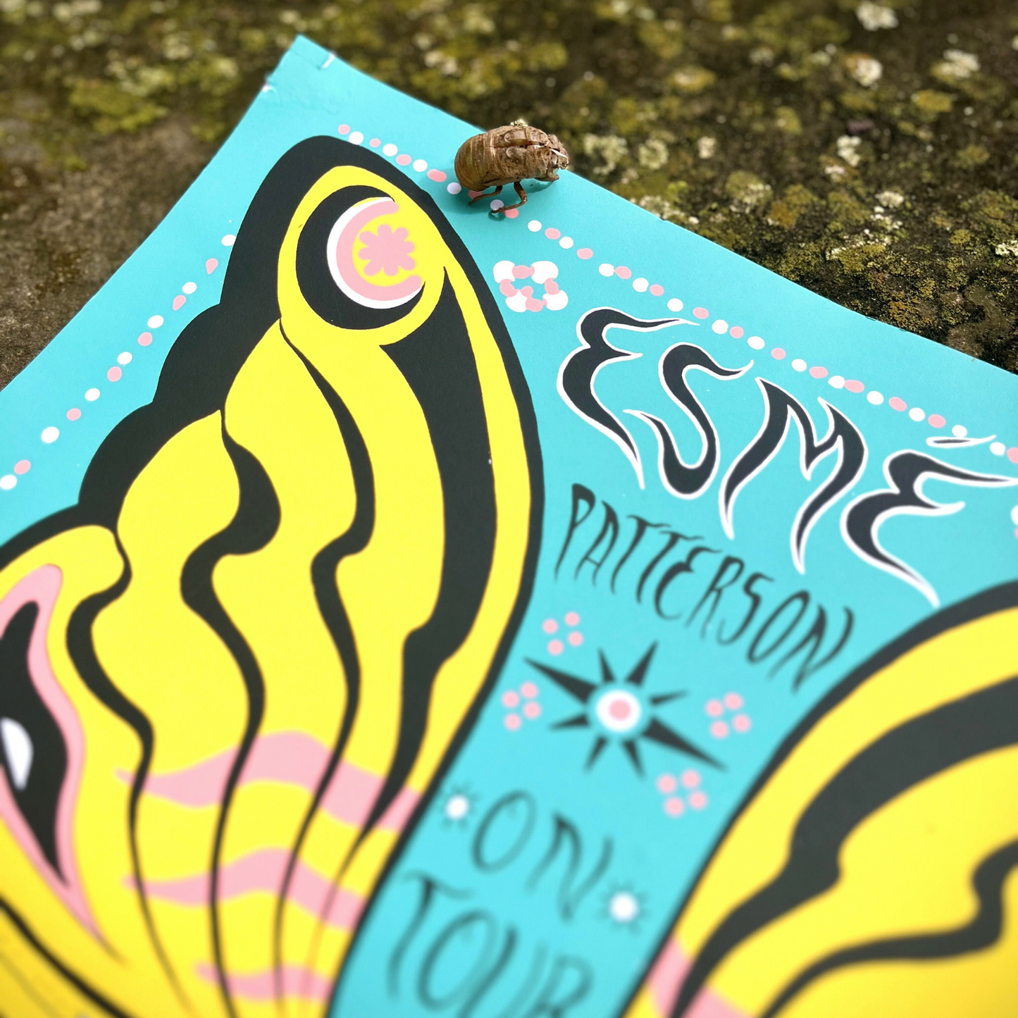 Esme Patterson tour poster w/ cicada shell